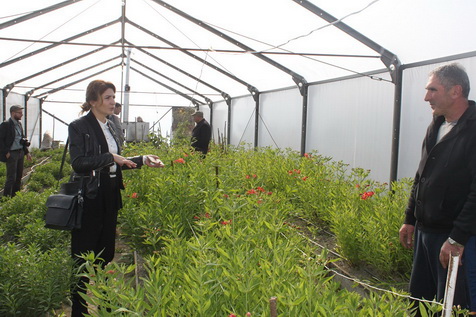 Flower Cultivation for Women’s Cooperatives