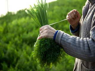 Rural Young Entrepreneur Supporting Programme in Georgia