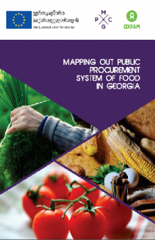 PUBLIC PROCUREMENT SYSTEM OF FOOD IN GEORGIA